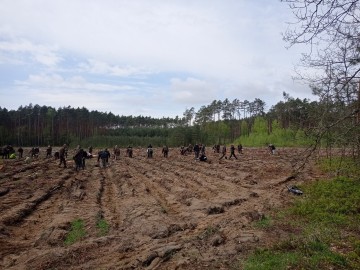 Sadzimy las na 100-lecie Lasów Państwowych, 